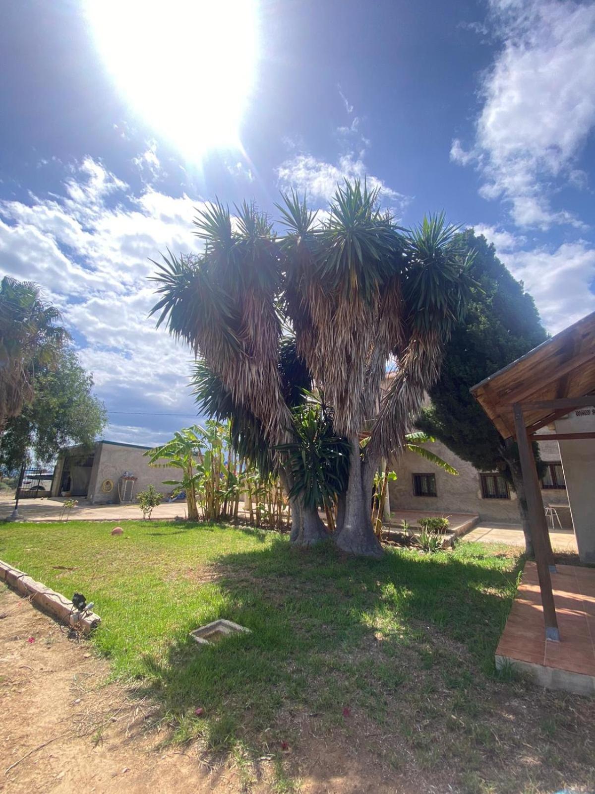Los Almendros Torrenostra Exterior foto